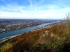 Drachenfels Aussicht auf Bonn