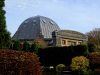 Drachenfels Nibelungenhalle