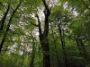 IMG_20260505_145925