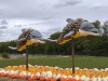 IMG_20250917_163331