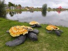 IMG_20250917_165101