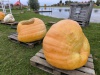 IMG_20250917_165503