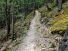 Milchstrassenweg