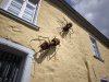 IMG_20250425_140002
