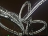 Tiger_Turtle_20230710_133036