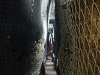 Ulmener_Maarstollen_20231014_160258