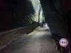 Ulmener_Maarstollen_20231014_160322