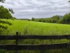 IMG_20260616_121235