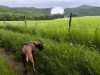 IMG_20260616_122408