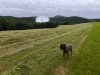 IMG_20260616_122647