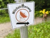 IMG_20260616_124107