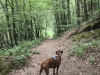 IMG_20260616_124136
