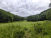 IMG_20260616_124904