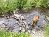 IMG_20260616_125036
