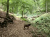 IMG_20260616_125411