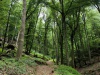 IMG_20260616_125540