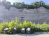 IMG_20250611_182630