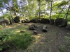 IMG_20250611_183229
