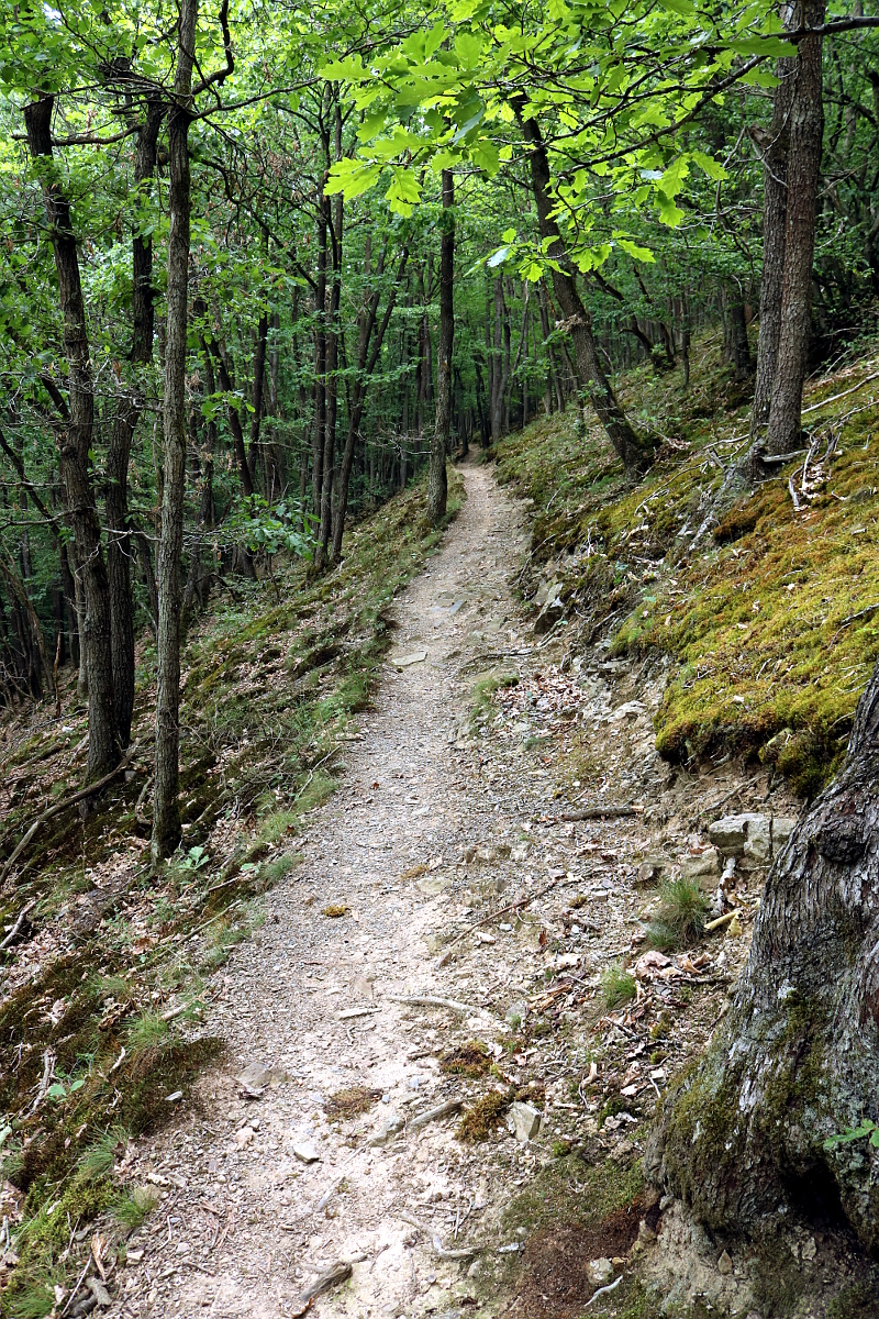 Milchstraßenweg (Trail)