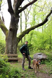 Wanderung mit Boxer