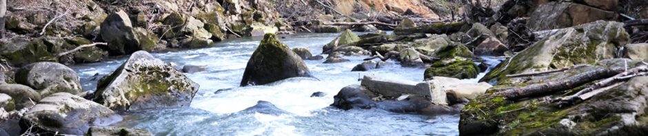 Irreler Wasserfälle mit Hängebrücke