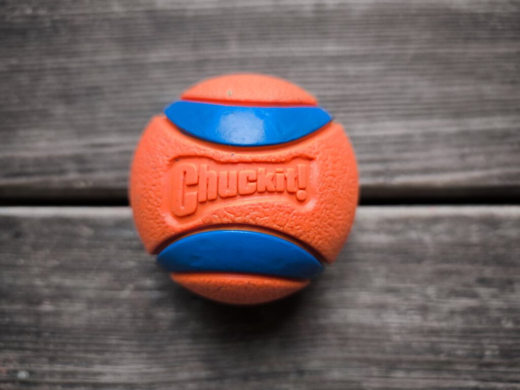 Chuckit! Ultra Ball Medium