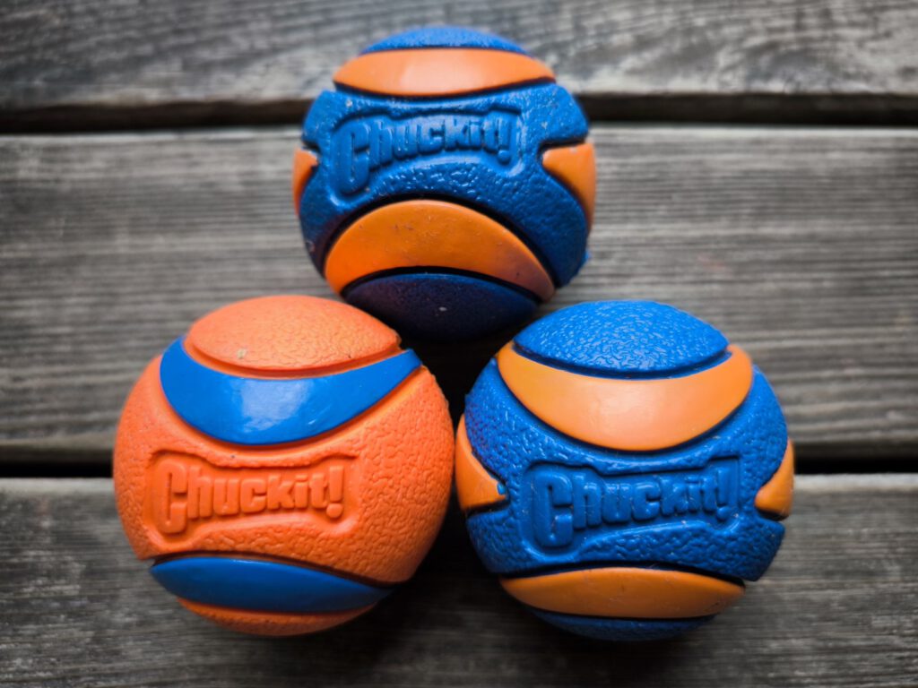 Chuckit! Ultra Ball Medium